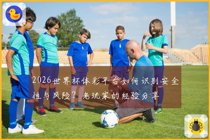 2026世界杯体彩平台如何识别安全性与风险？老玩家的经验分享