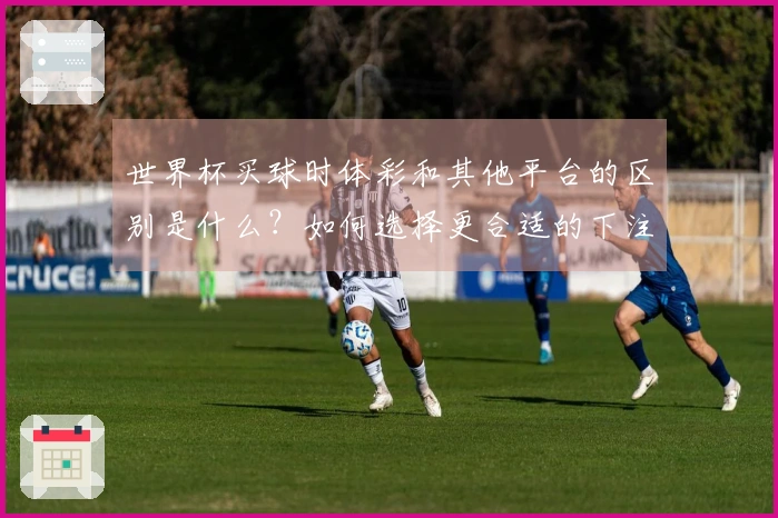 世界杯买球时体彩和其他平台的区别是什么？如何选择更合适的下注方式？