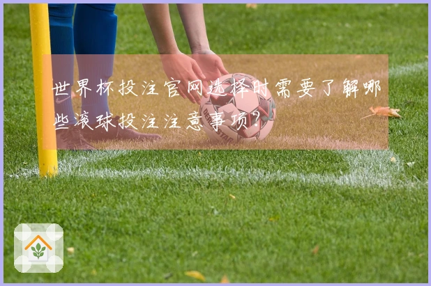 世界杯投注官网选择时需要了解哪些滚球投注注意事项?
