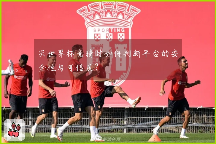买世界杯竞猜时如何判断平台的安全性与可信度？
