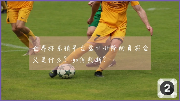 世界杯竞猜平台盘口升降的真实含义是什么？如何判断？
