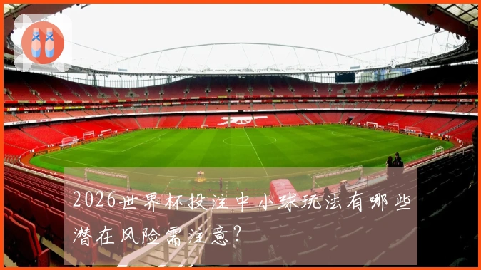 2026世界杯投注中小球玩法有哪些潜在风险需注意？