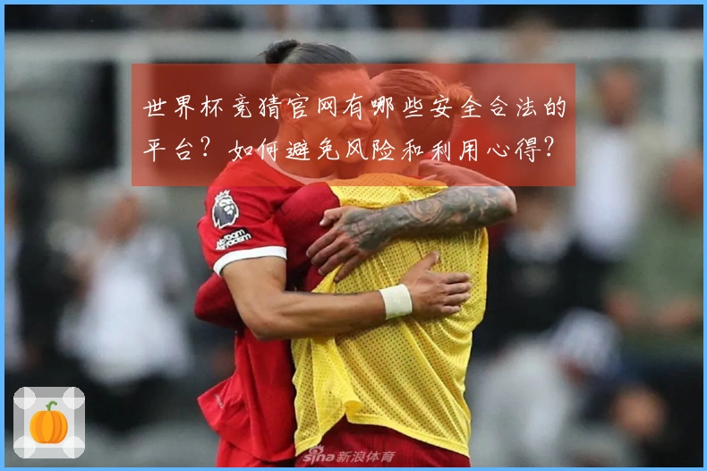 世界杯竞猜官网有哪些安全合法的平台？如何避免风险和利用心得？