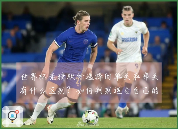 世界杯竞猜软件选择时单关和串关有什么区别？如何判别适合自己的投注方式？