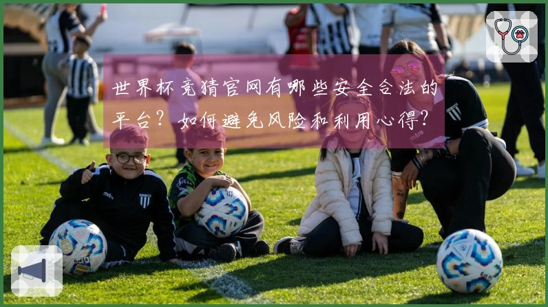 世界杯竞猜官网有哪些安全合法的平台？如何避免风险和利用心得？