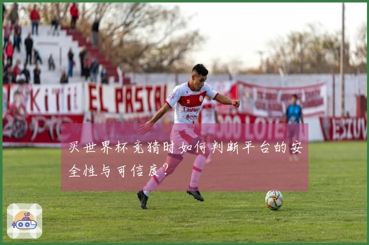 买世界杯竞猜时如何判断平台的安全性与可信度？