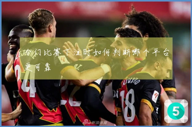冷门比赛下注时如何判断哪个平台更可靠