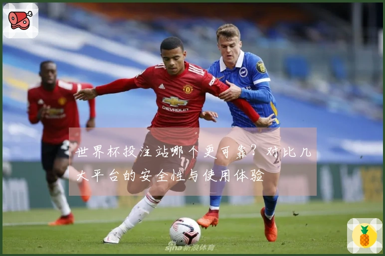 世界杯投注站哪个更可靠？对比几大平台的安全性与使用体验