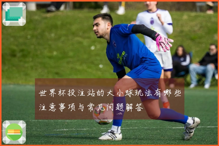 世界杯投注站的大小球玩法有哪些注意事项与常见问题解答