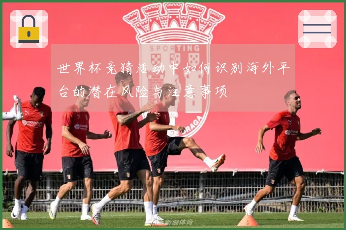 世界杯竞猜活动中如何识别海外平台的潜在风险与注意事项