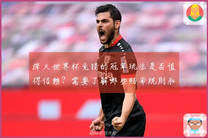 烽火世界杯竞猜的冠军玩法是否值得信赖？需要了解哪些赔率规则和风险？