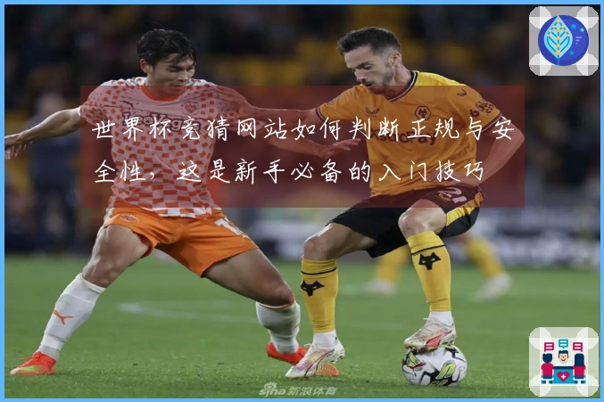 世界杯竞猜网站如何判断正规与安全性，这是新手必备的入门技巧