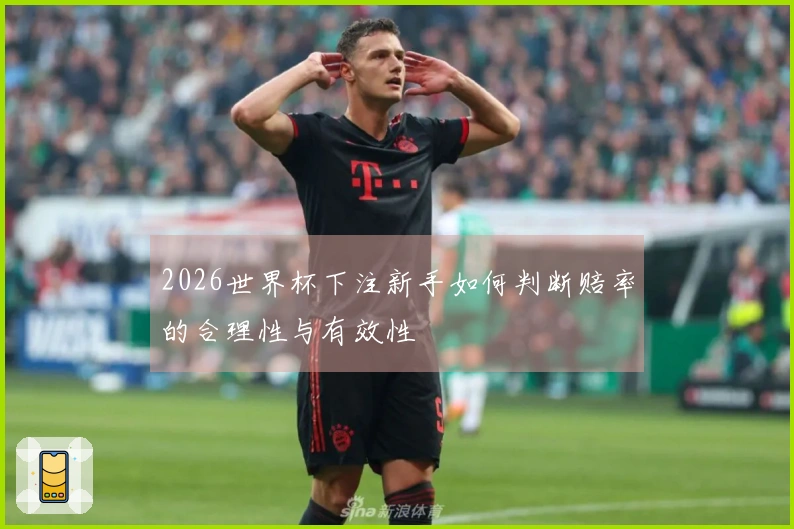 2026世界杯下注新手如何判断赔率的合理性与有效性