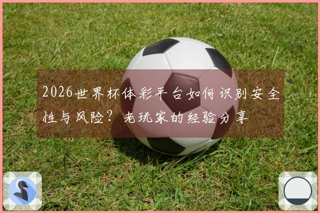 2026世界杯体彩平台如何识别安全性与风险？老玩家的经验分享