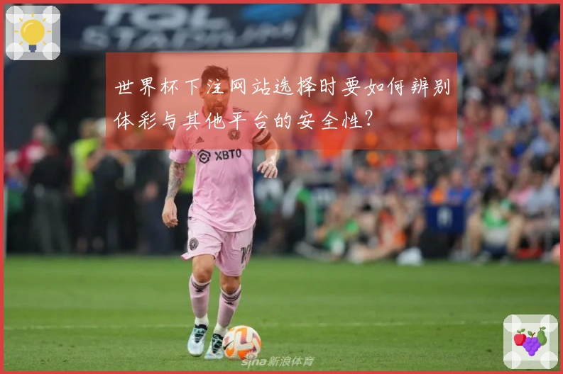 世界杯下注网站选择时要如何辨别体彩与其他平台的安全性？